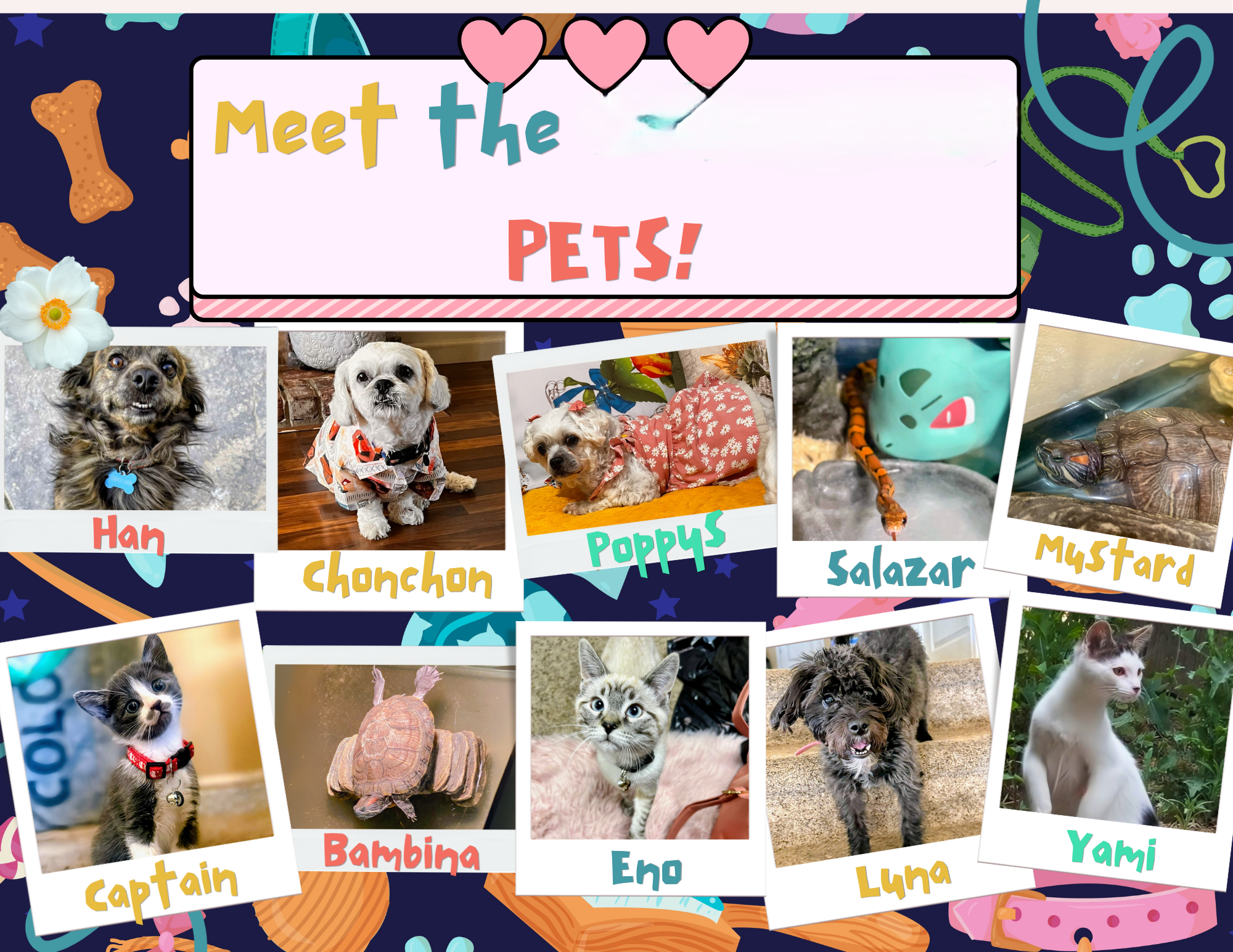 2nd Annual Pets of Partners: Celebrating Our Associates and Their Furry Friends